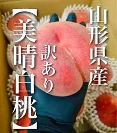 ②クール便★山形県産　訳あり　美晴白桃　箱込み3.5キロ〜　白桃　桃　硬い桃