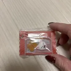 skzoo シャカっとチャームグミ　ジニレット
