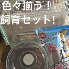 Item thumbnail for item 95a6295d-3124-4873-8cb2-dbef6875b43c