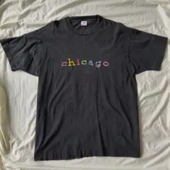 90s Fruit of the room Tシャツ XL USA 袖裾シングル