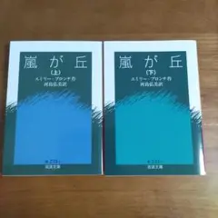 嵐が丘 上下巻
