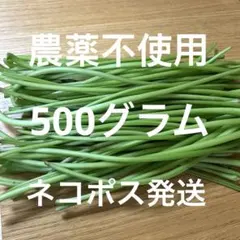 2026年最新】芋茎の人気アイテム - メルカリ