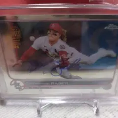 Item thumbnail for item 2b8583fe-a155-4a82-84a0-b9d21004331e