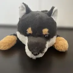 値下　新品タグ付き　くったり柴犬　ねそべり 柴犬 ぬいぐるみ 黒柴　AMUFUN