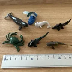 海洋生物フィギュア7体セット