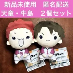 ハイキュー!!　もちぴこぬいぐるみ⑧　天童覚　牛島若利　2個セット