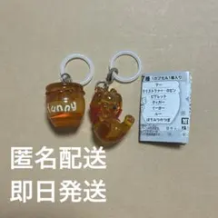 Winnie the Pooh くまのプーさん めじるしアクセサリー 匿名配送