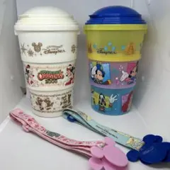 ディズニーリゾート　ポップコーンボックス　2点セット　中古品