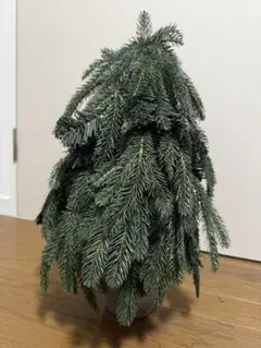 francfranc クリスマス