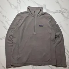 Patagonia MicroD フリース　グレージュ　ims