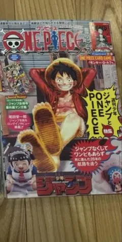 【新品未開封】ワンピースマガジン第20号 ルフィプロモ(ST21-014)付1冊