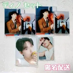 SEVENTEEN CARAT盤 バインダー ディノ セット