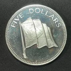 2025年最新】バハマ プルーフの人気アイテム - メルカリ