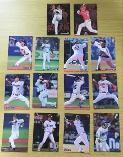 プロ野球 カルビー トレーディングカード36枚セット