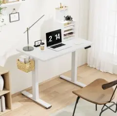 【値下げ‼︎】フレキシスポット Flexispot EF1 ホワイトのサムネイル