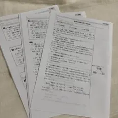 駿台 2025 重要β 井辺先生 プリントフルセット - メルカリ