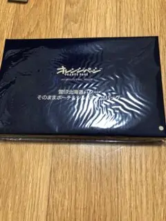オレンジページ9/17号増刊特別付録　そのままポーチ＆シルバーエコバッグ付録のみ