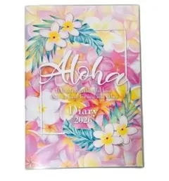 Item thumbnail for item caac8fa5-3062-4800-927e-3f3491971c1d