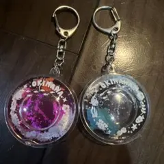 沖縄限定 ぷかぷかイルカ　クマノミキーホルダー 水族館 海ビーチ沖縄土産のサムネイル