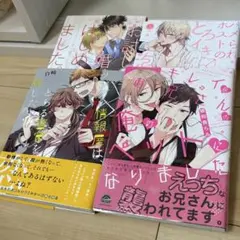 商業BL コミック まとめ売り