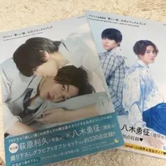 美しい彼　公式ビジュアルブック