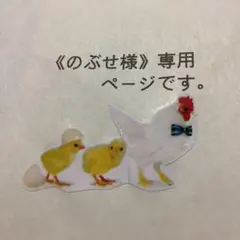《のぶせ様》専用ページです。