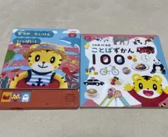 こどもちゃれんじ ぷち 音絵本 知育絵本 なつのたいけんいっぱい ことばずかん