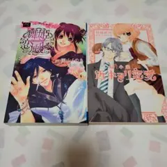 小説近キョリ恋愛　他