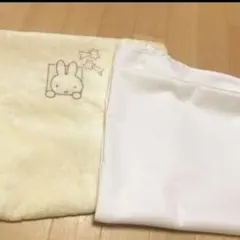 Item thumbnail for item e7db8a1b-40c0-425d-8647-3c5344511559