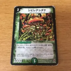 2026年最新】シビレアシダケ プロモの人気アイテム - メルカリ