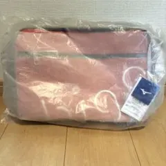 【新品未使用】bigs ビッグエス　スイミング　スクールバッグ　ミズノ　カバンのサムネイル