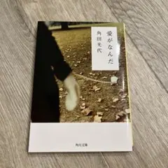 愛がなんだ