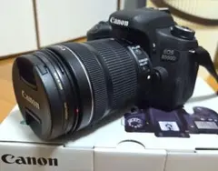 Item thumbnail for item a0feeba8-04f0-4b1c-be1a-0bbe15cfd85e