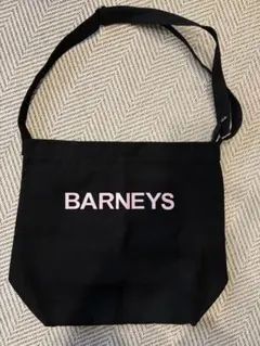 【ピコ太郎さん限定】バーニーズニューヨーク キャンバス ショルダーバッグのサムネイル