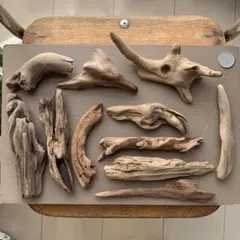 Item thumbnail for item d6386876-6d86-4232-a818-cb78eb987df7