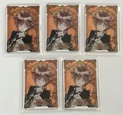 家庭教師ヒットマンREBORN ステータスカード 沢田綱吉 5点