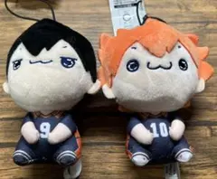 ハイキュー!! もちぴこマスコット vol.1 二点セット