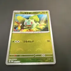 2026年最新】フシギダネプロモの人気アイテム - メルカリ