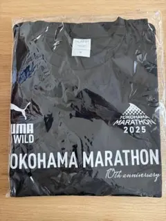 Item thumbnail for item 70097aa5-e464-416e-b015-95346b0ddc2a