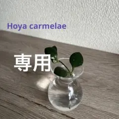 ハリー様 リクエスト 3点 まとめ商品