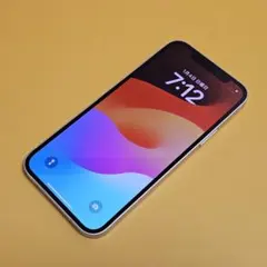 Item thumbnail for item aa614d7a-e616-4d75-8058-8b7624fc3704