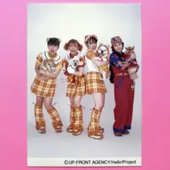 【匿名配送】　⭐︎希少⭐︎ ミニモニ。犬　公式生写真