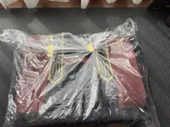 ARS10 Lycee　織田 久遠 信長　サイン　SP ARS10 Lycee 織田 久遠 信長 サイン SP 2025年最新】lycee 恋姫