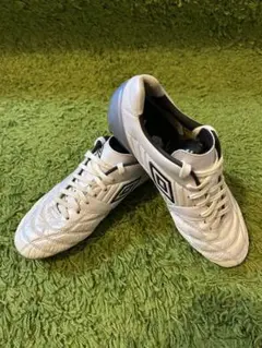 2026年最新】アクセレイターklの人気アイテム - メルカリ