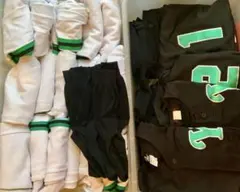 Item thumbnail for item 8ede2b31-73cb-459c-964e-74f674863d86