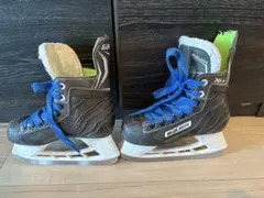 Item thumbnail for item 6cfca92f-2a2e-44b2-91b0-b17494edeef3