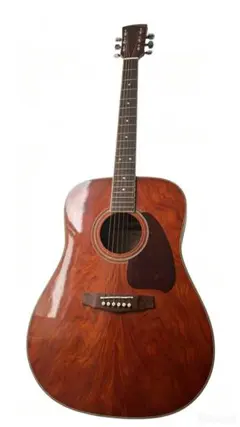 Ibanez PF300BGのサムネイル