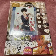ある日、お姫様になってしまった件について 12 特典