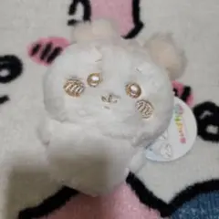 ちいかわ ぬいぱれっと マスコット　古本屋