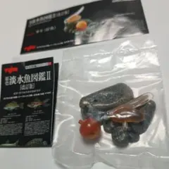 【シークレット】新品未開封 yujin 淡水魚図鑑 Ⅱ 改訂版のサムネイル